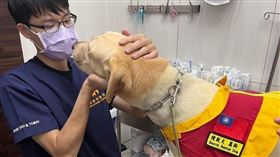 大樹藥局動保藥