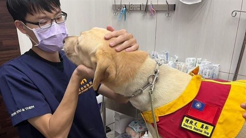 寵物用藥陷困境 藥廠與藥局:願當獸醫後盾