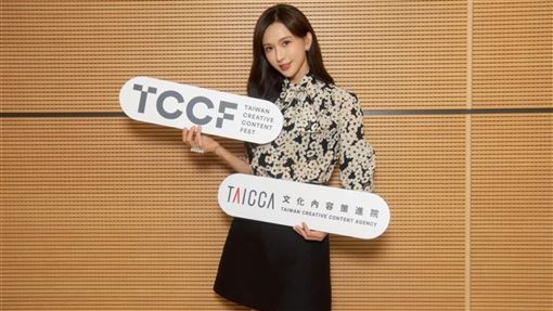 林志玲新工作領這數目？文策院董事薪資曝