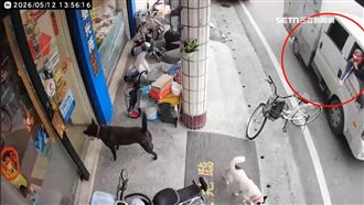 花蓮動防所鬧烏龍！家犬遭射麻醉針險死