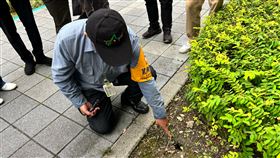 北市鼠類偵防師示範追蹤鼠跡台北市環保局13日舉辦社區鼠類偵防服務啟動記者會，鼠類偵防師高健富示範鼠跡調查、判斷鼠種並說明阻斷方式。中央社記者陳昱婷攝　115年5月13日