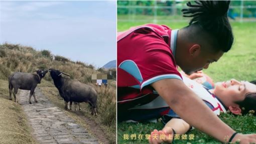 名歌手〈擎天崗愛愛〉成真　網驚：預言家