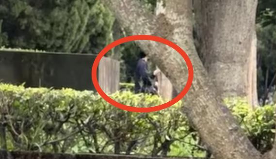 男子半裸上身坐在樹陰下做出不雅行為。(圖/翻攝自臉書社團 沙鹿之美)