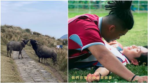 名歌手擎天崗單曲被封預言家　驚見曾博恩