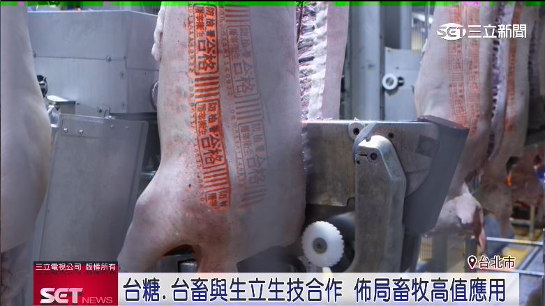 台灣重返三大豬病非疫國，讓國產豬重回國際餐桌之外，台糖還與食品及生技公司攜手合作推動高產值的「醫療等級應用」