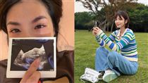 43歲湘瑩試管拚求子　突公開「超音波照」