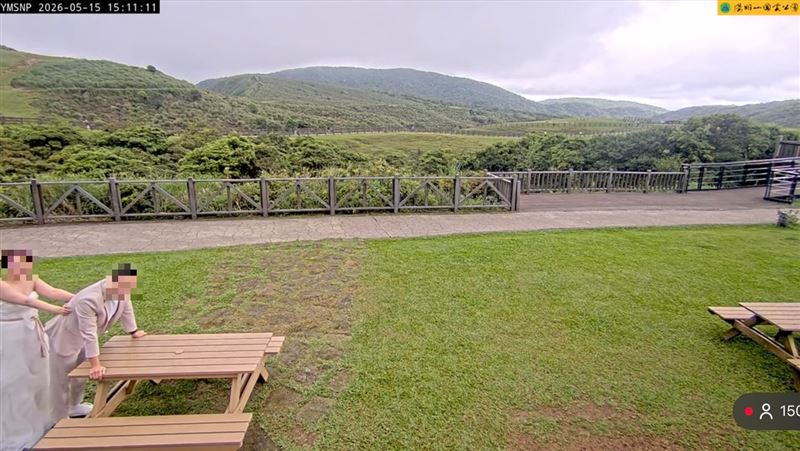 擎天崗「當事桌」竟成為熱門打卡點，甚至有新人穿著婚紗到場「模仿致敬」，網友直呼「這兩位一定百年好合。」（圖／陽明山國家公園管理處INFO YouTube）