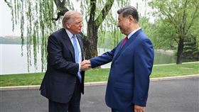 川普、習近平。（圖／翻攝自新華社）