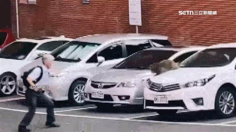 人猴大戰第2部雨傘對峙　中山呂布暴紅