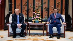 習近平15日在中南海接待美國總統川普時，雙方座椅的高度引發討論。（圖／美聯社／達志影像）