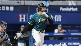 中職37年例行賽，台鋼雄鷹指定打擊魔鷹敲出安打。（圖／記者劉彥池攝影）