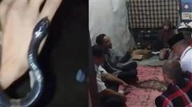 印尼茂物發生毒蛇攻擊意外，2名少年疑似玩弄眼鏡蛇時遭狠咬。（圖／翻攝自Tribun News）