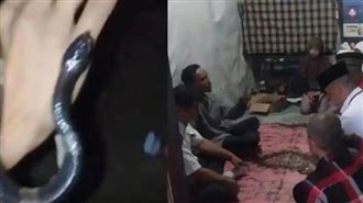 玩命玩過頭！少年拍劇毒眼鏡蛇片　釀1死