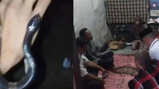 玩命玩過頭！少年拍劇毒眼鏡蛇片　釀1死
