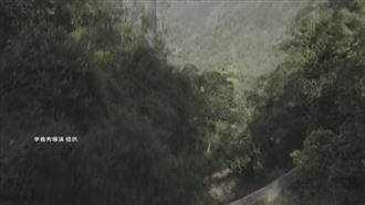 辭職專心拍片　導演見上映首日票房零落淚