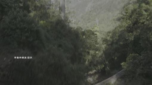 辭職專心拍片　導演見上映首日票房零落淚