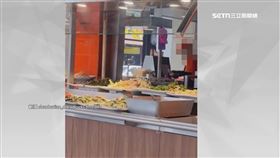自助餐變鳥buffet　麻雀跳進菜盆偷吃　客驚：不敢吃