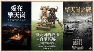 擎天崗野戰燒不停！網友二創暴走全網笑翻