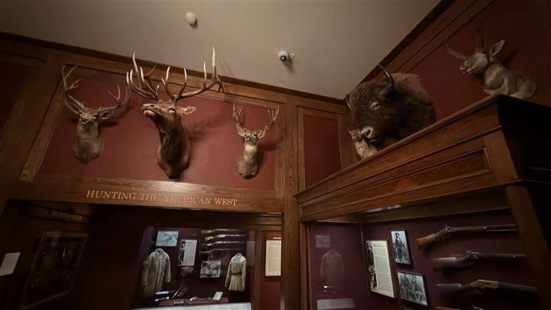 「HUNTING THE AMERICAN WEST」展區陳列美洲野牛、麋鹿與鹿角標本，搭配早期獵槍與西部拓荒文物，重現美國西部狩獵文化歷史氛圍。（圖／記者蕭翰弦攝影）