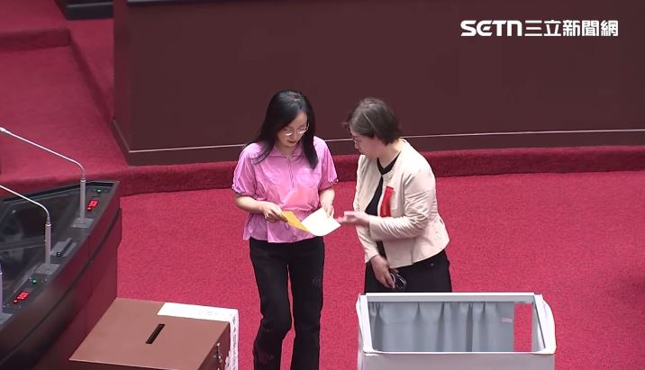 民進黨團進場投下反對票（圖／翻攝畫面）