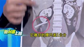 卸責中央無專法？蔣萬安罰12家自打臉　他揭「律師市長」怠惰真相。（圖／新台派上線）