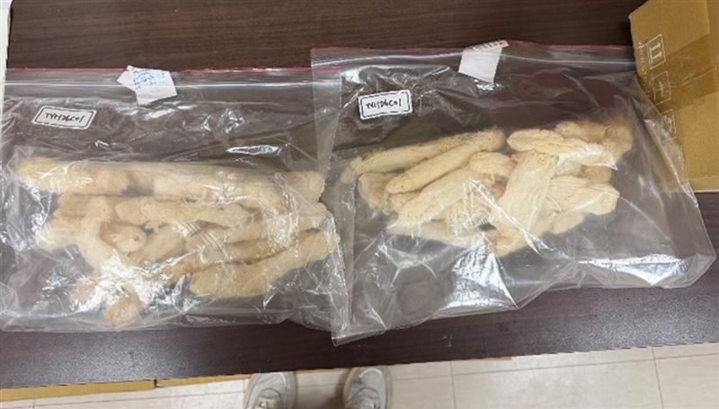 「彭園會館」的竹笙檢出鎘超標。（圖／食藥署提供）