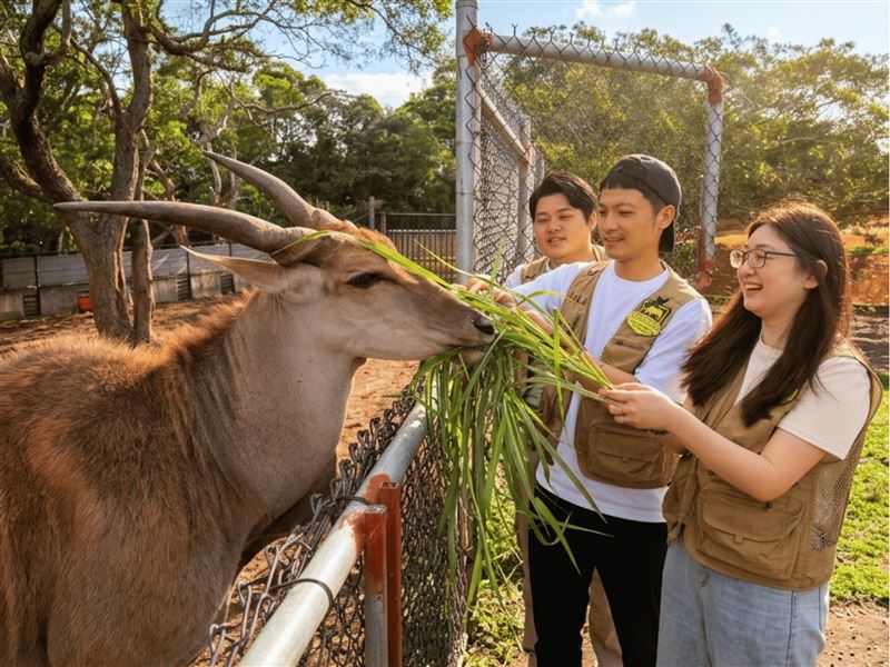 關西六福莊首推【FUN肆玩】4人兩天一夜動物冒險假期專案，特價9,888元，除了可暢遊六福村外，更包含全台獨家的動物體驗-大羚羊生態遊程。（圖／旅宿業者提供）