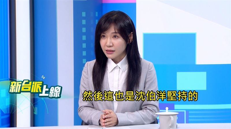 吳沛憶指出，沈伯洋堅持要個別走訪每一位議員。（圖／翻攝新台派上線）