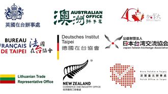 英國、日本都發聲！9國代表處挺台參與WHA