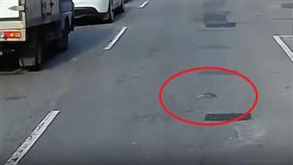 「巷口拋出一鼠」砸地上！行經駕駛看傻眼