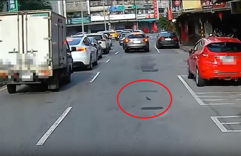有民眾開車行經台北市文山區時，驚見一處巷弄內疑有人大力拋出一隻老鼠到馬路上。（圖／民眾提供）