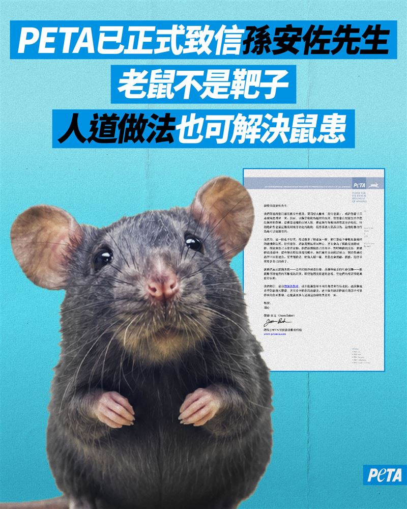 PETA批孫安佐「火焰槍燒老鼠」是暴力行為。（圖／翻攝自PETA 亞洲善待動物組織臉書）