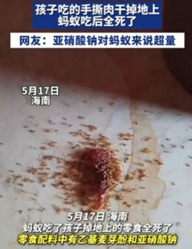 一段「肉乾碎渣掉地上,螞蟻吃完竟全死光」的影片近日在中國網路瘋傳。(圖/翻攝自微博)