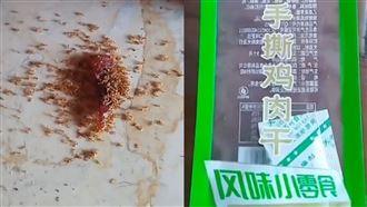 恐怖！中國肉乾掉地上　螞蟻吃完後竟全死