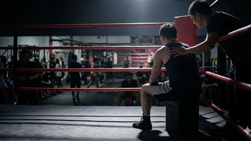 拳擊格鬥擂台送命！工程師相驗死因出爐