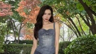 林志玲閃辭文策院董事　阿信昔挨酸吉祥物