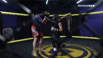 拳擊力道難控制　總監：死的幾乎都是新手