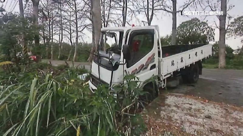 曾經就有車子因木棉花打滑的案例