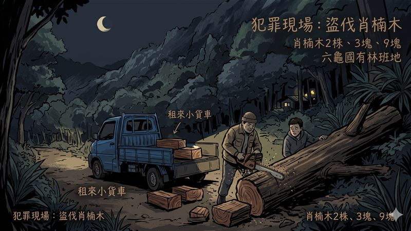 山老鼠夜襲六龜!盜伐肖楠判刑罰百萬