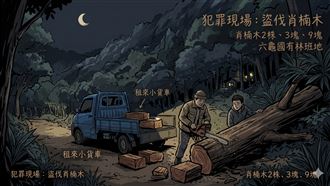 山老鼠夜襲六龜！盜伐肖楠判刑罰百萬
