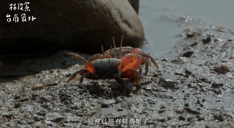 林俊憲說二仁溪整治的故事與成果。（圖／林俊憲提供）