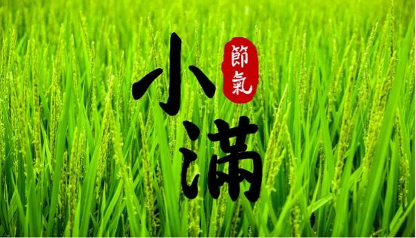 小滿。（圖／CANVA製作）