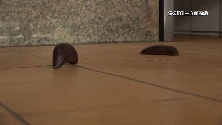 罕見的立筊。（圖／三立新聞網）