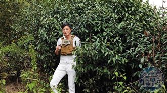苦學製茶創業慘賠剩8千　一契機助他翻身