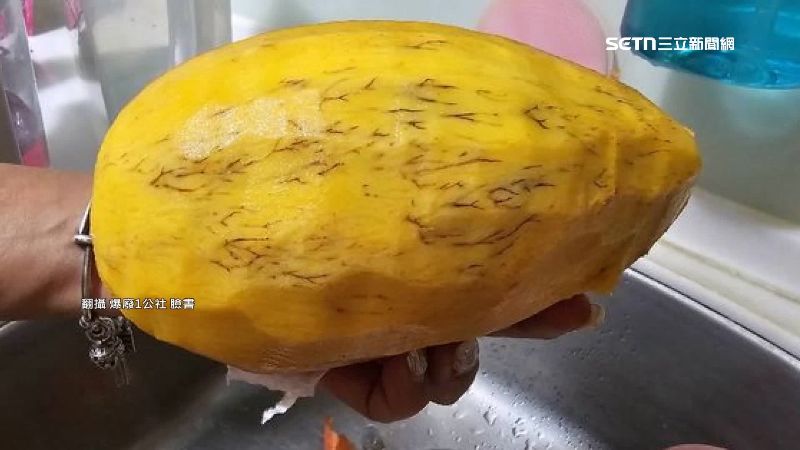 芒果「長毛」能吃嗎?農業部解答:免驚