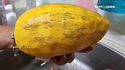 芒果「長毛」能吃嗎？農業部解答：免驚