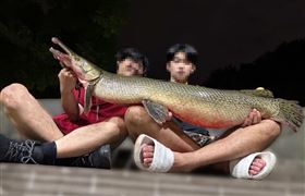 成大,成大釣魚社,成功大學釣魚社,社團,帳號,鱷雀鱔,吉祥物,外來種,爭議,228公園。（圖／翻攝自臉書）