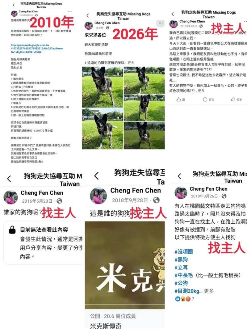 網路上出現質疑聲浪,懷疑陳美琪走失非事實。(圖/翻攝Threads)