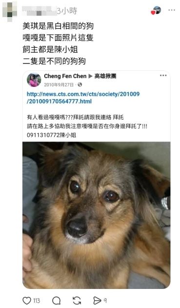 陳小姐及熱心民眾澄清,走失的是兩隻不同的狗。(圖/翻攝Threads)