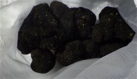 有3批分別自法國及保加利亞輸入的新鮮黑松露，檢出重金屬鎘不合格。（圖／食藥署提供）